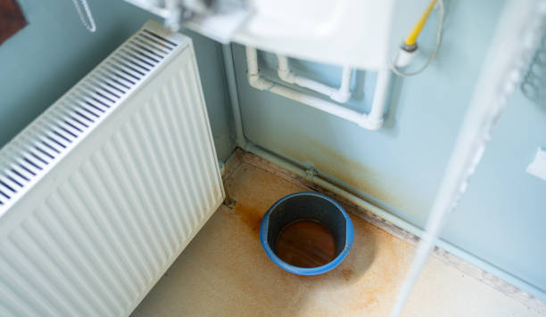 Best Carpet water damage restoration  in North Tunica, MS